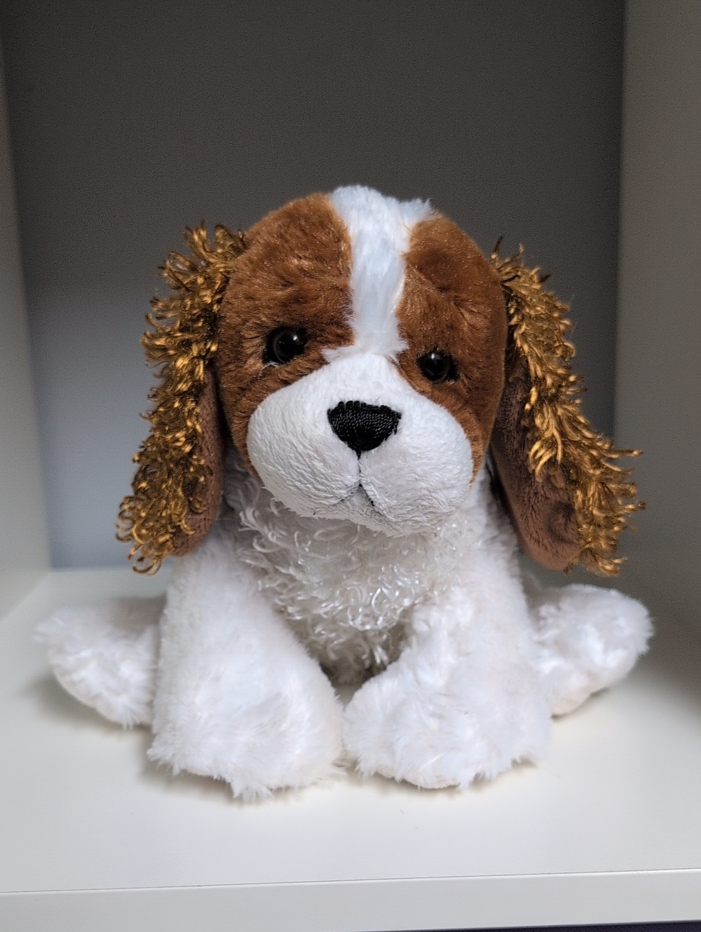 Webkinz King Charles Spaniel No Code Y2k Collectible Plush GANZ